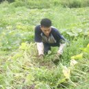 명관농장 이미지