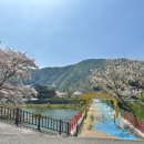 문경 오미자테마터널 이미지