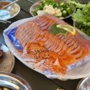 돌고래오토캠핑장 이미지