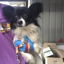 반월119안전센타 이미지