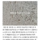 메카닉모터스 이미지