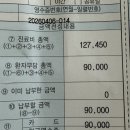 보계동물병원 | 담소유 병원 부유방 수술 후기 3탄: 3차 외래까지 통증·회복·실비 솔직 공개