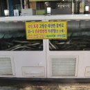 선운양만장