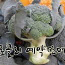 대감슈퍼 이미지