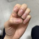 네일도지은