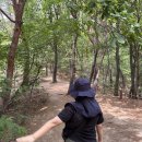 세심천 쉼터 | 도봉구 방학동 시루봉 등산 코스 — 선덕고에서 깃발 봉우리까지, 초보 부부 둘레길 후기