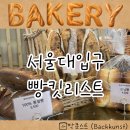 관악로24길 | [서울대입구 빵집] 속 편한 빵 박쿤스트 빵지순례 후기