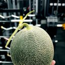 파머스엉클