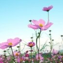 DS휘트니스센터 용운점 이미지