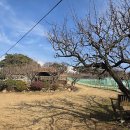 빛그린산단공인중개사사무소 네이버블로그