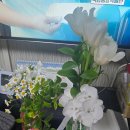 식스플로어 촬영 후기 (장기돈 작가님, 25년 2월 오후 촬영)