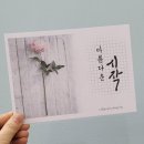 바른손 캘리그라피 이미지
