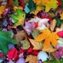 1037 | 사랑 명상 1037