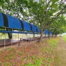 아리솔펜션 이미지