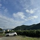 라온누리 | [경북/청도] 대구 근교 독채숙소 신상 촌캉스 &#34;라온누리&#34;