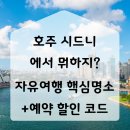 호주 시드니 뚜벅이 자유여행 핵심명소 투어 추천