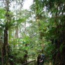 키나발루(4095.2m) - 동남아시아 최고봉 이미지