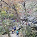 청하중학교 이미지