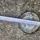 (주)솔라텍 이미지