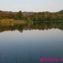 황산제 이미지