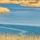 여강길(7코스 부처울습지길) 이미지