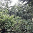 토실토실 2농장 이미지