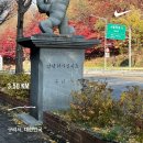 신반포로 320 (1) | [1124-1130] 정형외과 1주차
