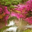 삶의 보람 이미지