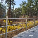 서동로30길 이미지