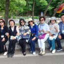 선유동2로 Daum카페