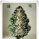 최익준 카카오 검색결과