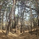 삼불사 화장실 이미지