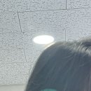 건성 | 청소년 비듬샴푸 추천 템 건성 두피 사용 후기