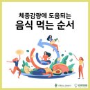 하이풀 스포츠 이미지
