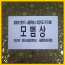 제38회 맹호기 서울특별시초등학교축구대회(2009/ 4/12~5/24)우승 이미지