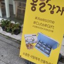강릉여행선물 강릉감자빵 샙그린 선물 추천해요