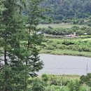 신114부동산공인중개사사무소 이미지