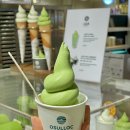 240621-30 일상 17 포토덤프 챌린지 시작