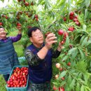 김영태농장 이미지