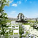 (주)제주신화항공여행사 이미지