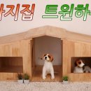 강아지집 이미지