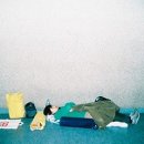 필카여행사 이미지