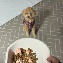 얌얌치킨송탄점 | 생일 주간이라 행복한 여성의 블챌 가보자고