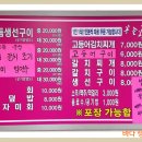 바다생선 이미지