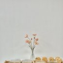 행정서남로 | 다양한 떡 디저트와 특별한 날 떡케이크 선물까지 향남떡집 더앙꼬