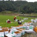 오병이어농장 이미지