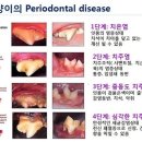 이노동물병원 이미지
