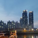 용호동 섶자리 이미지