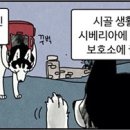 인더하우스 이미지