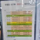 국민체육센터 사거리 건널목(2) | ​원주 국민체육센터 수영장, 수질 보고 경악한 이유